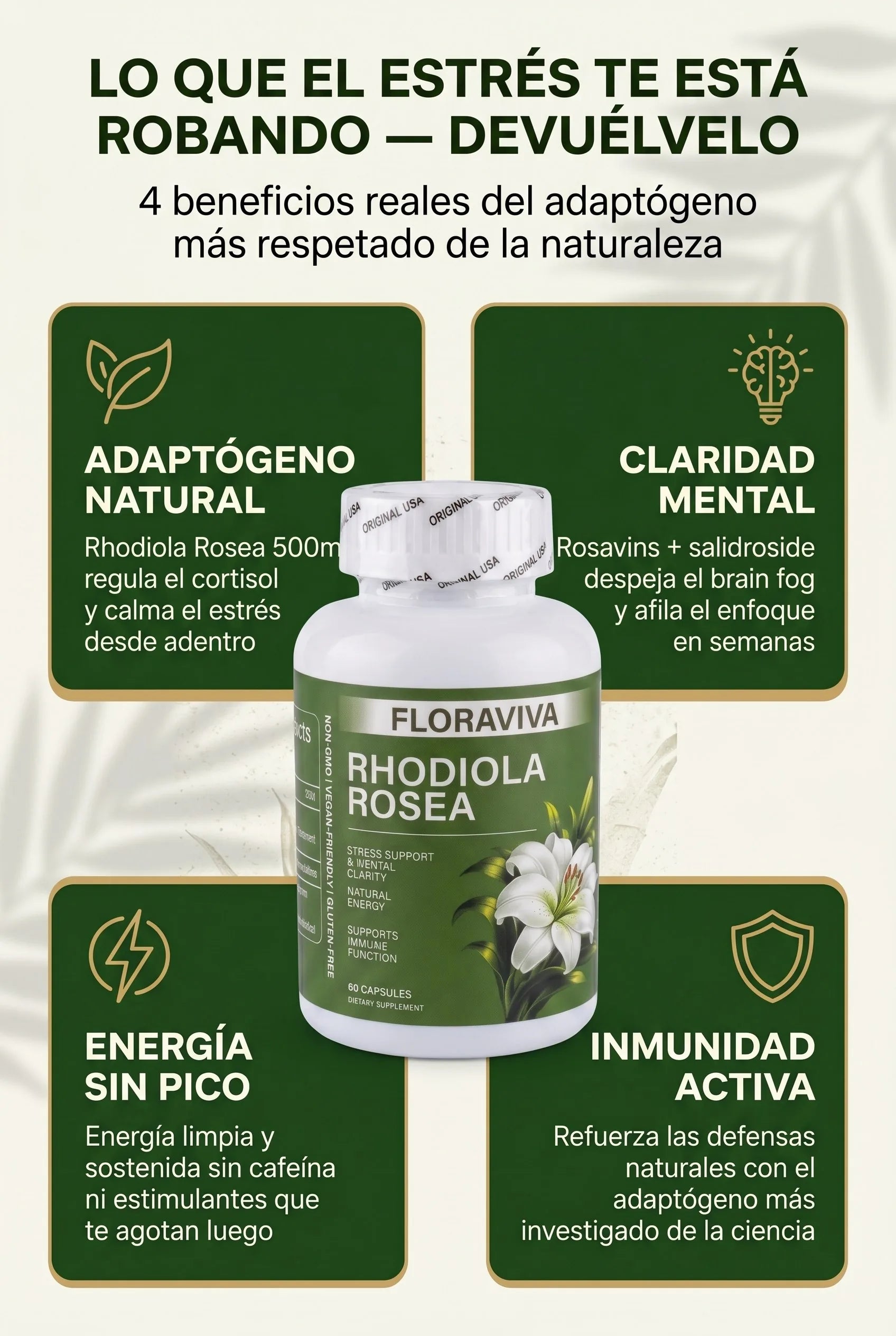 03_beneficios