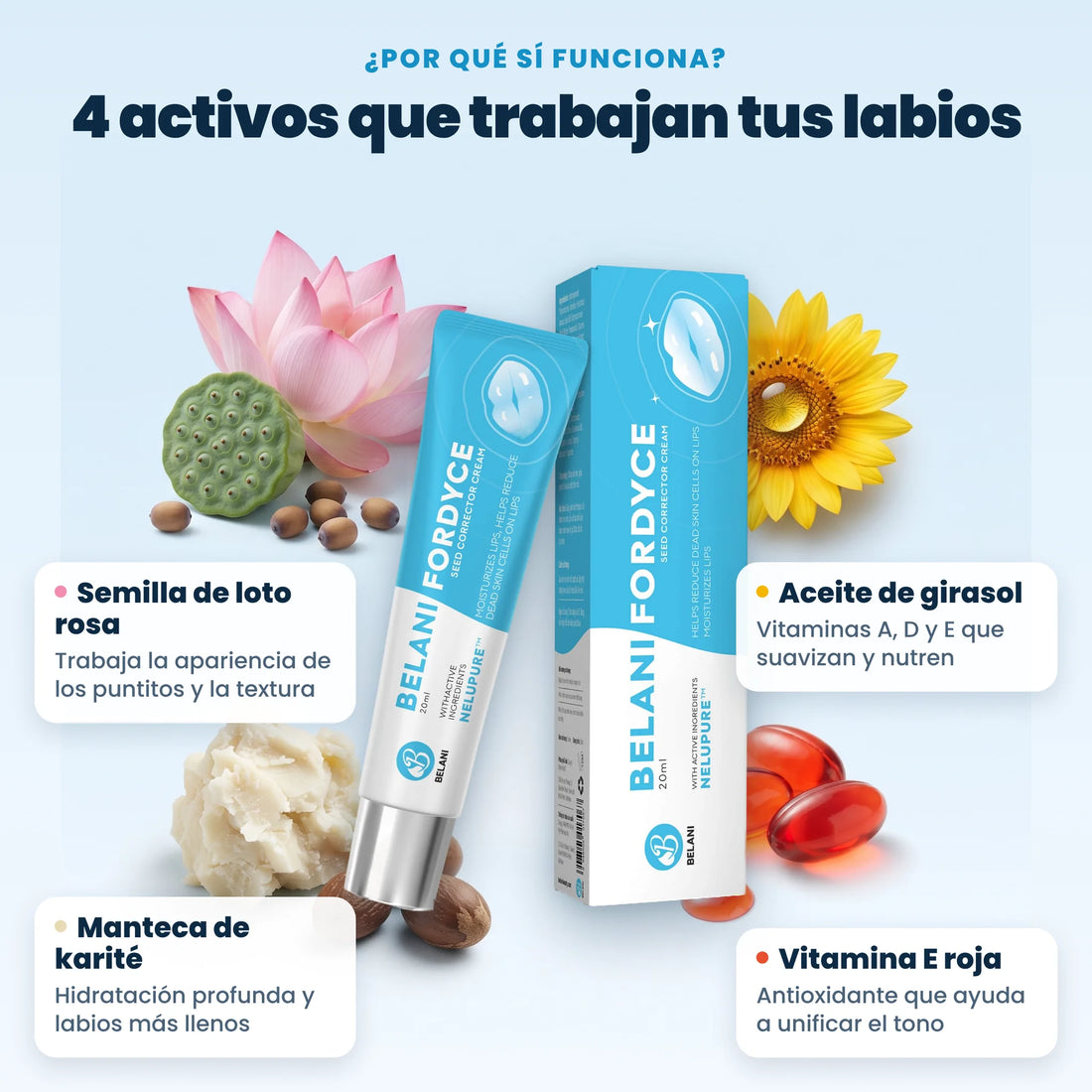 Ingredientes de Belani Fordyce: loto rosa, aceite de girasol, manteca de karité y vitamina E