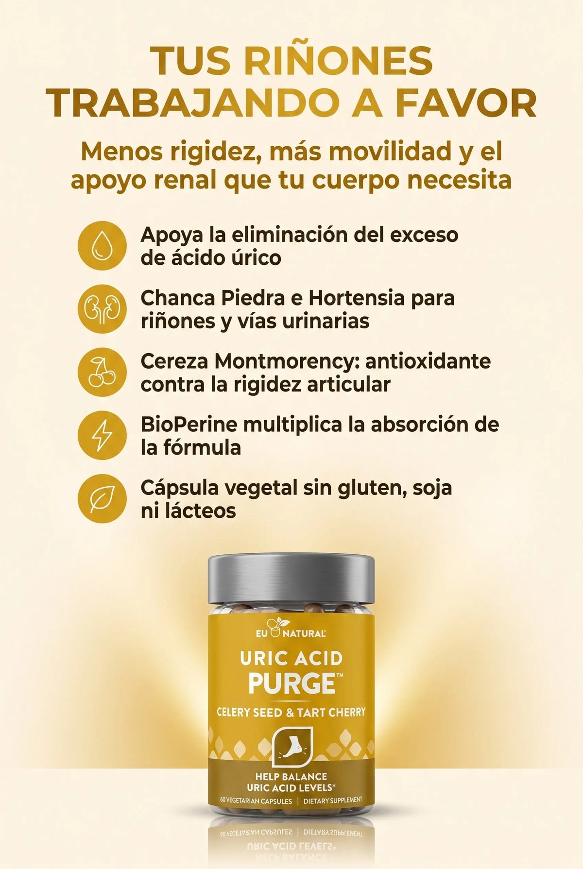 purge-acido-urico 03_beneficios