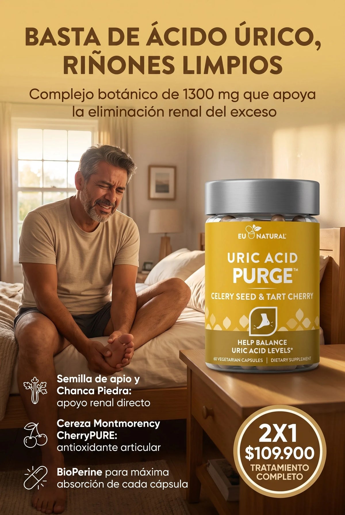 purge-acido-urico purge-acido-urico-atf-v2